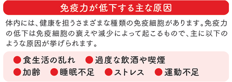 今回ご紹介している運動のポイント