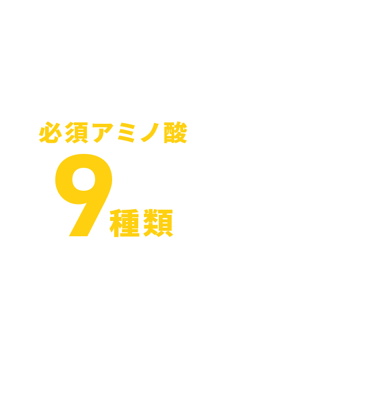 必須アミノ酸9種類