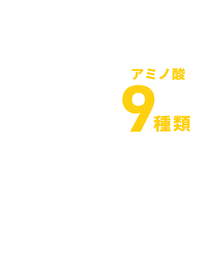 アミノ酸9種類