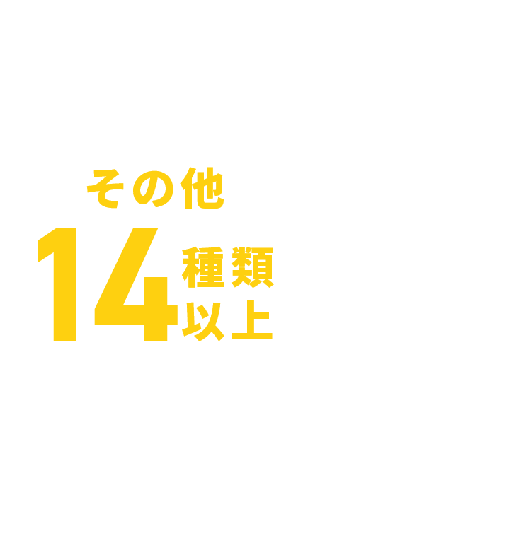 その他13種類以上